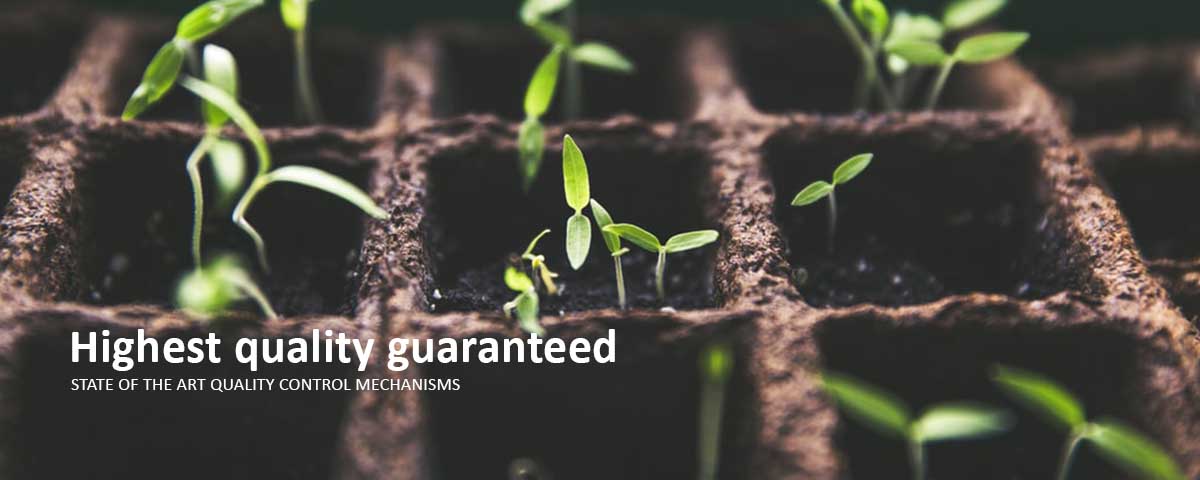 Earth Flavor Pvt Ltd