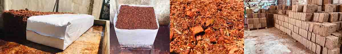 Sai Cocopeat Export Private Limited